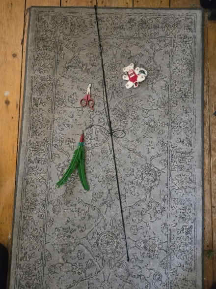 Photo of free Cat toys, cat nail clipper (Reading Center) #1