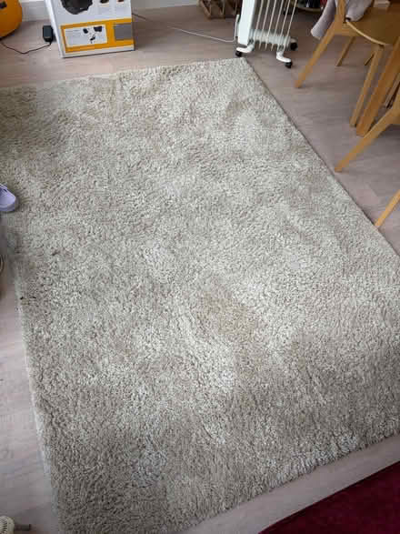 Photo of free Beige teddy rug (Berkhamsted HP4) #2