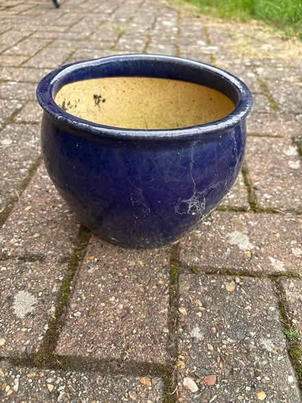 Photo of free Plant pot (West Winch PE33) #1