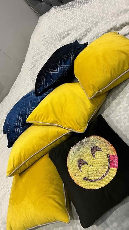 Photo of free Bunch of cushions (Thornhill lees Dewsbury) #3