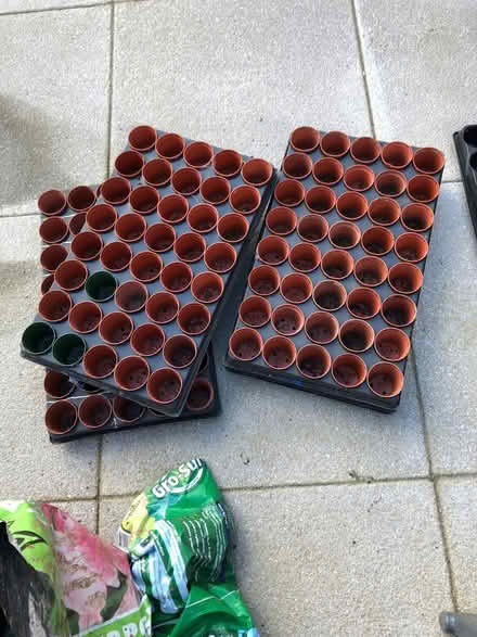 Photo of free Seedling pots (Gorse Hill SN2) #1