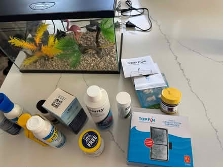 Photo of free 3 gallon starter tank fish (Bellingham) #3