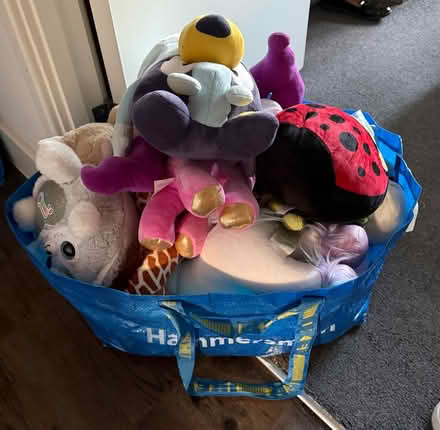 Photo of free big bag of stuffies (Chiswick, W4) #1