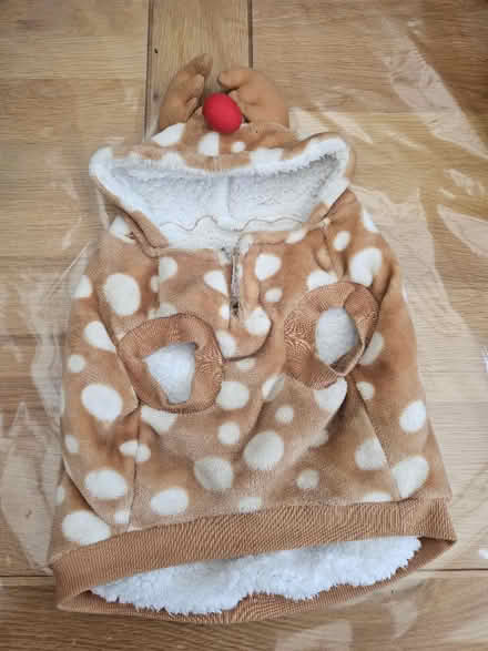 Photo of free Dog coat (En11) #1