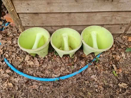 Photo of free fence hanging planters x 3 (Stratton Strawless NR10) #1