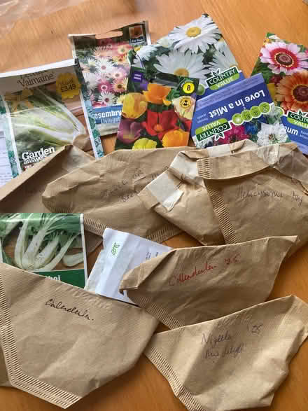 Photo of free Extraneous seeds veg n flowers (Ifton Heath SY11) #1