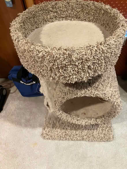 Photo of free Kitty condo (Kennedy road stop & shop,) #4