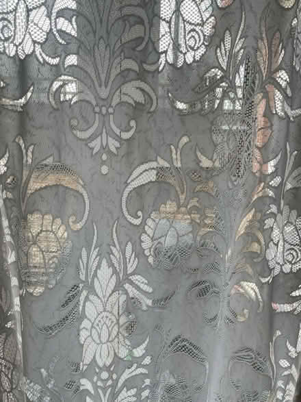 Photo of free Wide net curtain (Palmers Green N13) #2