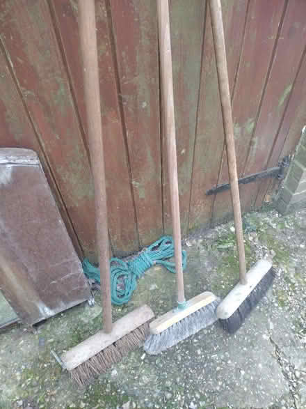 Photo of free 3x wooden brooms (Norwich NR7) #1
