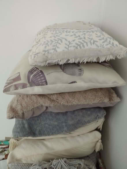 Photo of free Cushions (Brightlingsea CO7) #1