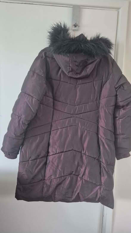 Photo of free Ladies Burgundy hooded coat size 16 (Round Green LU2) #2