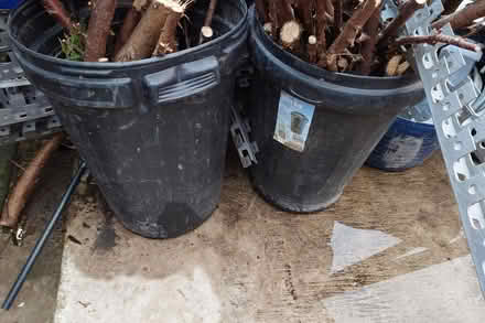Photo of free Black plastic bins (St Helens WA10) #1