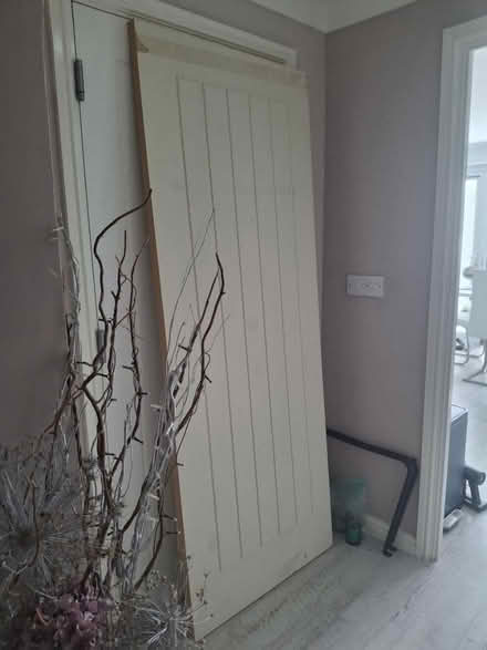 Photo of free Internal door (PE19) #1