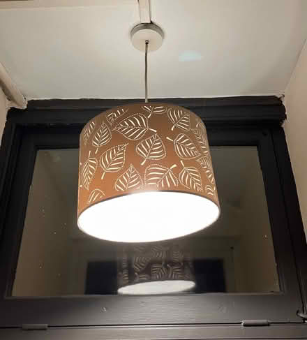 Photo of free 2 x leaf lampshades (Waddon) #1