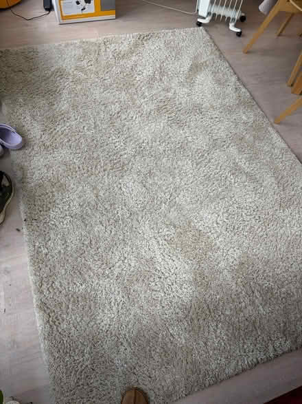 Photo of free Beige teddy rug (Berkhamsted HP4) #1