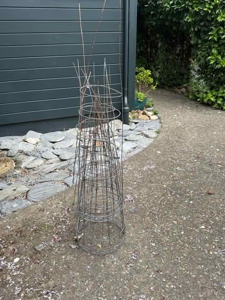 Photo of free Vegetable “cages” (Mill Valley) #1