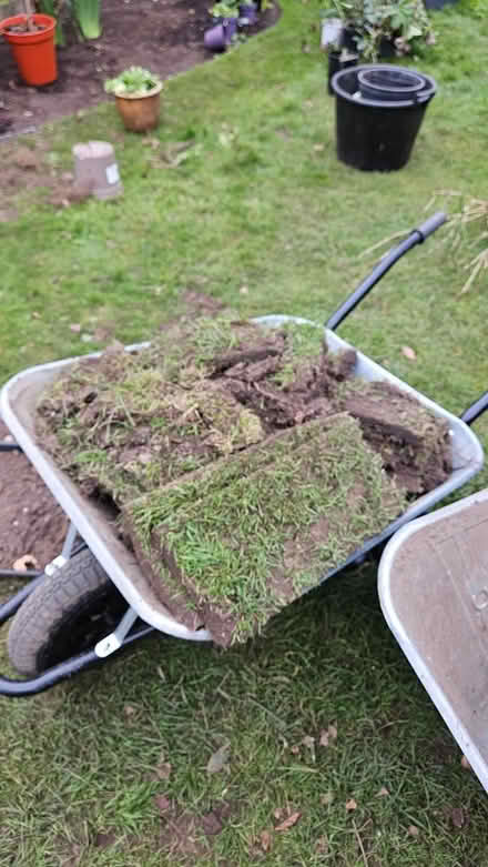 Photo of free 2 barrow loads of turf (Horsell, Woking GU21) #1