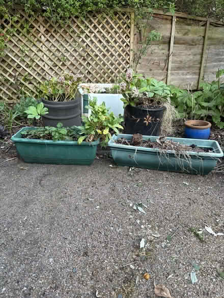 Photo of free Four long window box style planters (Royal Leamington Spa CV31) #1