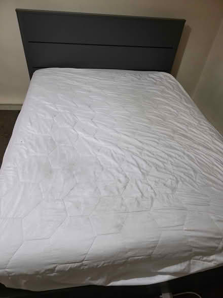 Photo of free Double divan (Albert Park M20) #1