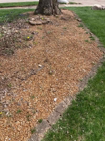 Photo of free Meremac garden rocks (Southside Indy) #2