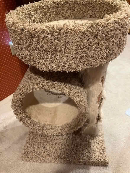 Photo of free Kitty condo (Kennedy road stop & shop,) #2