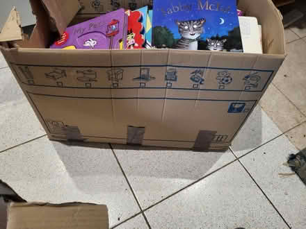 Photo of free Box of children's books x 3 (Norton Lees S8) #2