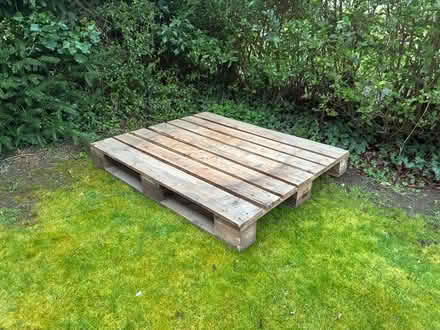 Photo of free Wooden pallet (Stamford PE9) #1