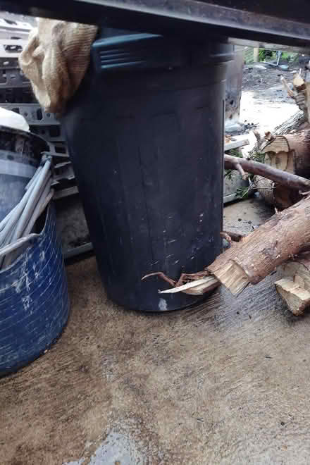 Photo of free Black plastic bins (St Helens WA10) #2