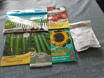 Photo of free Seeds (Hitchin SG5) #1