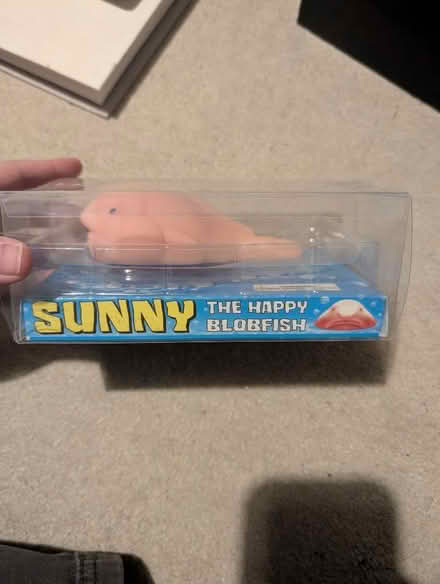 Photo of free Sunny the blobfish squishy (Cranham Gate GL3) #1