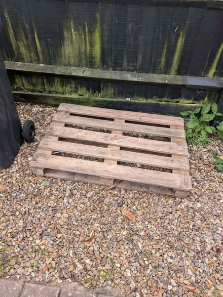 Photo of free Wooden Pallet (North Town SL6) #1