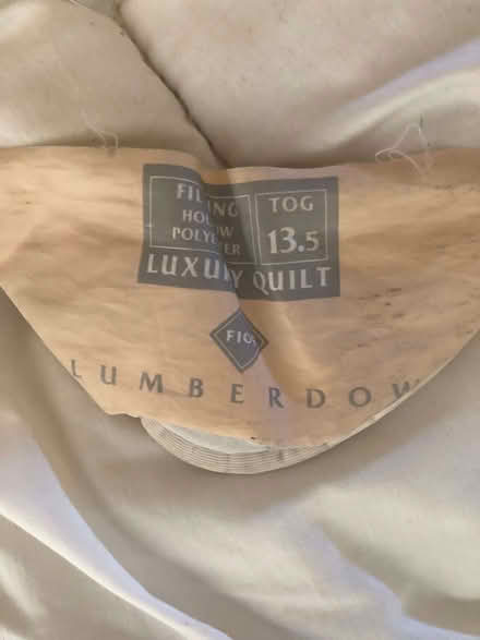 Photo of free Winter weight double duvet (dog bed?) (Wood Farm OX3) #1
