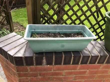 Photo of free Plastic oblong planter (Wood Farm OX3) #1