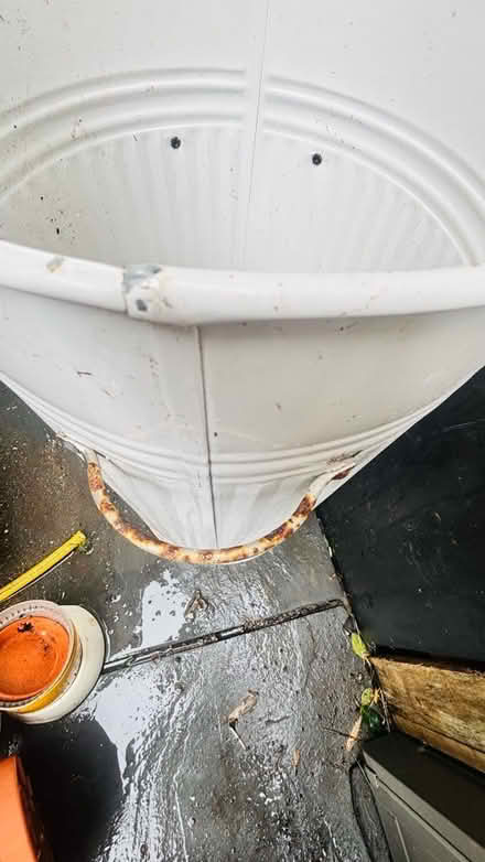 Photo of free White bin (Wimbledon SW19) #2