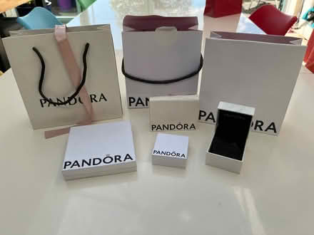 Photo of free Empty Pandora gift bags and boxes (Cambridge GL2) #1