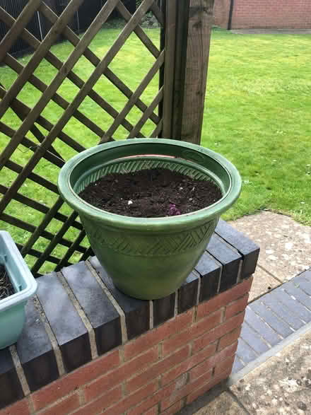 Photo of free Green plastic flower pot (30 cms. high) (Wood Farm OX3) #1