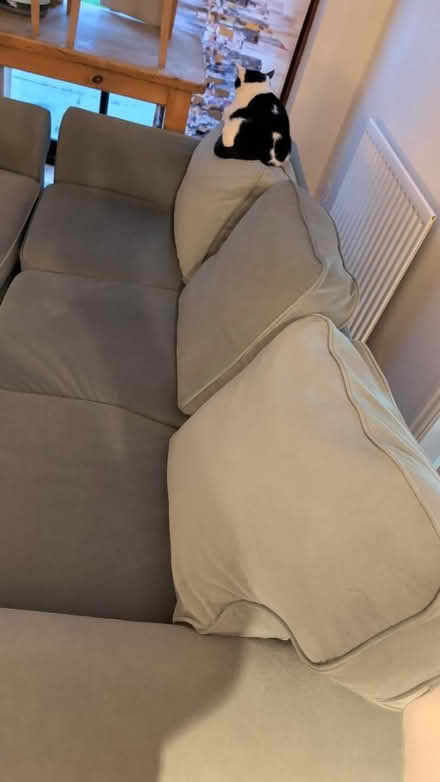 Photo of free 1x 3 seater & 1x 2 seater (Littleover, Derby) #2