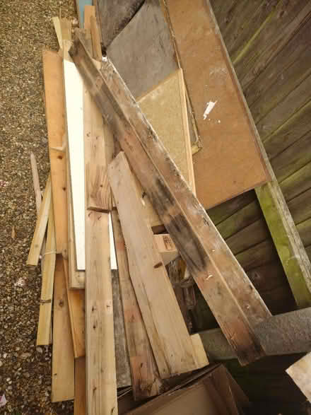 Photo of free Firewood (Norwich NR7) #2