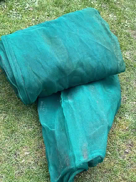 Photo of free Green netting (CM12) #1