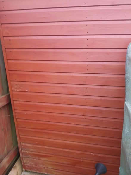 Photo of free 8x6 garden shed (Lower Sheering CM21) #2