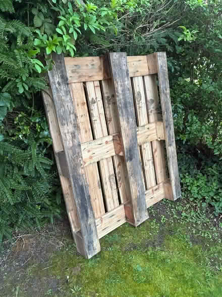 Photo of free Wooden pallet (Stamford PE9) #2