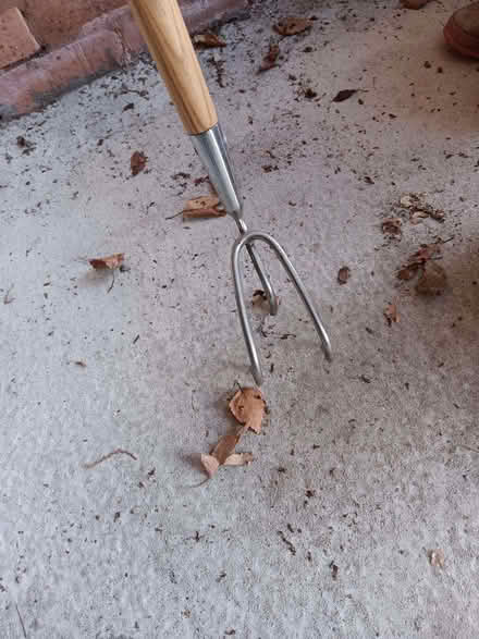 Photo of free Long Handled Cultivator (Kenilworth CV8) #3