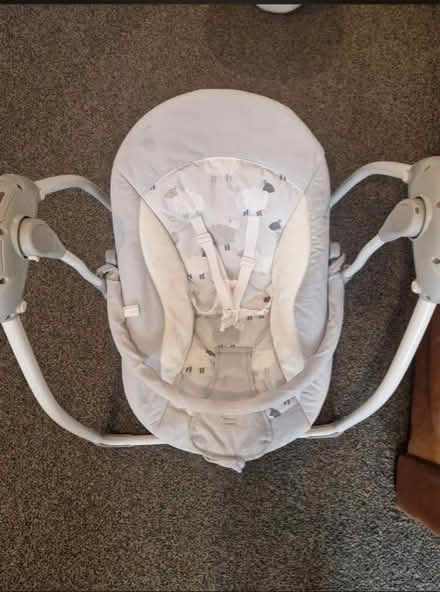 Photo of free Baby swing (Goldington MK41) #1