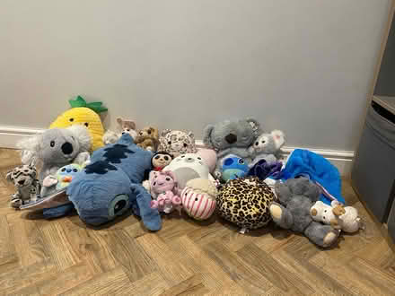 Photo of free Kids teddy collect (NG10 (Sandiacre)) #1