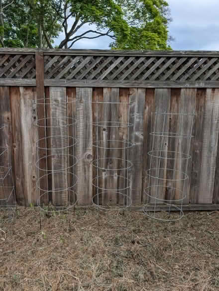 Photo of free 6 tomato cages (near Palo Alto High School) #1
