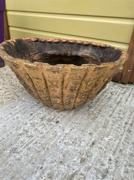 Photo of free She’ll pot (Hitchin SG4) #1