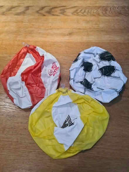 Photo of free Inflatable balls (Widford CM1) #1