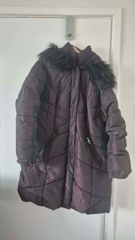 Photo of free Ladies Burgundy hooded coat size 16 (Round Green LU2) #1