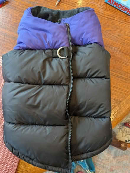 Photo of free Dog's jacket to give away (North Cambridge) #1