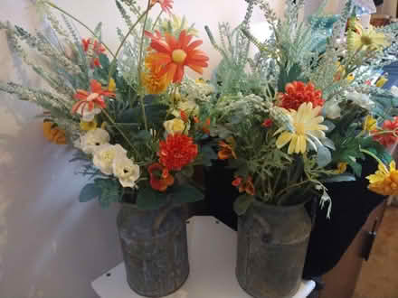 Photo of free 2x retro cans of silk flowers (Norwich NR7) #1